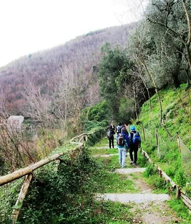 Contrada Vigna