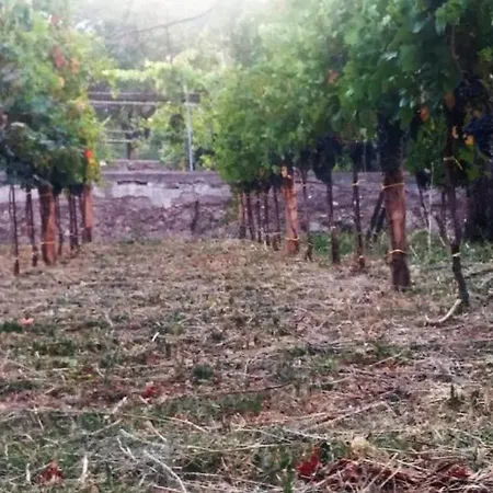 Contrada Vigna Frühstückspension 3*