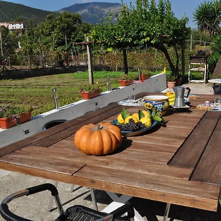 Contrada Vigna Frühstückspension Vietri